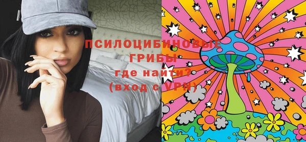 мдпв Гусиноозёрск