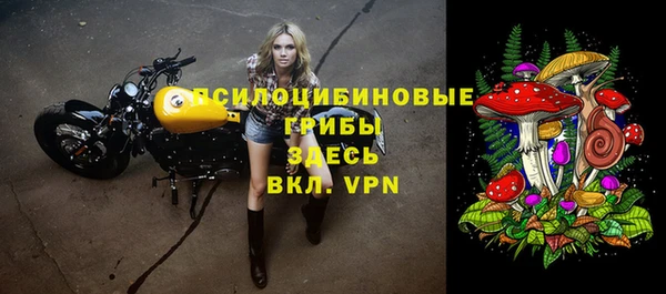 мдпв Гусиноозёрск