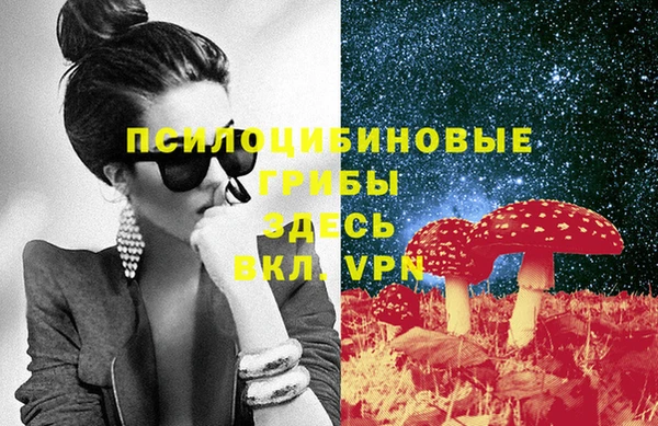 мдпв Гусиноозёрск
