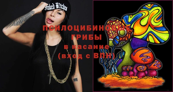 мдпв Гусиноозёрск